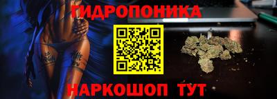 сатива Абакан