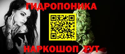 сатива Абакан